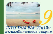 Into Thai Bay อ่างทองพักเกาะพะลวย 2วัน1คืน